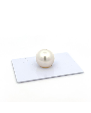 12mm+ gem  grade South Sea pearl, Indonesia