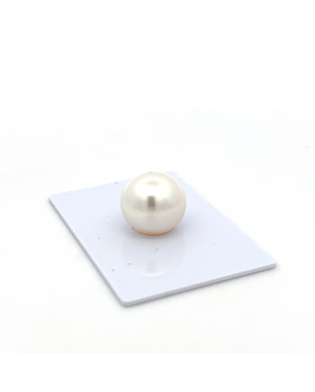 12mm+ gem  grade South Sea pearl, Indonesia