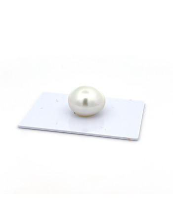 15mm+ gem  grade South Sea pearl, Indonesia