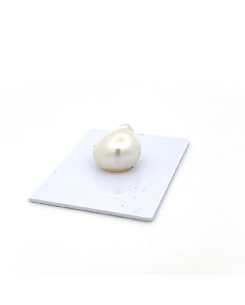 12mm+ gem  grade South Sea pearl, Indonesia