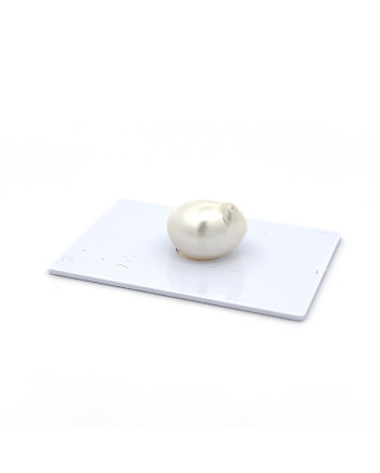 12mm+ gem  grade South Sea pearl, Indonesia