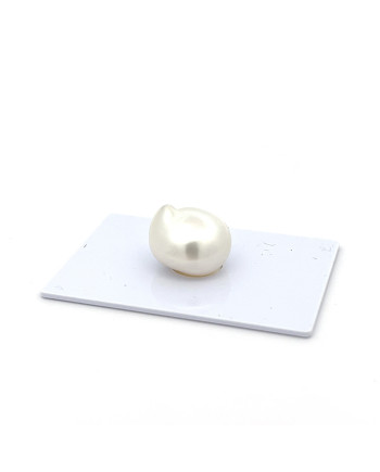 12mm+ gem  grade South Sea pearl, Indonesia