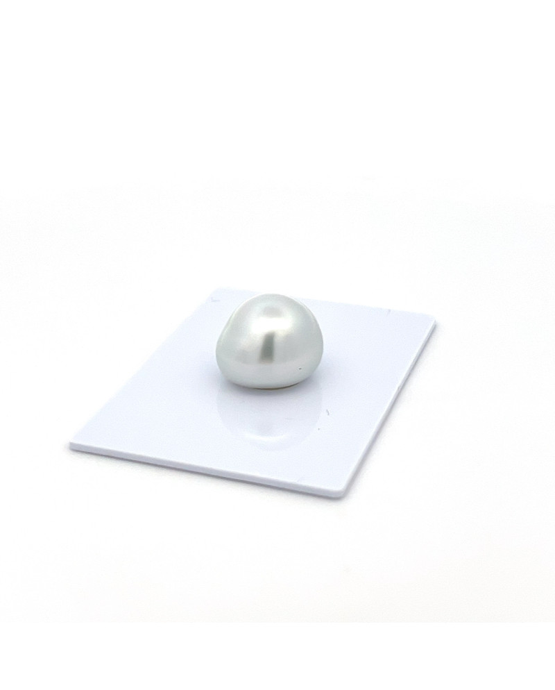 12mm+ gem  grade South Sea pearl, Indonesia
