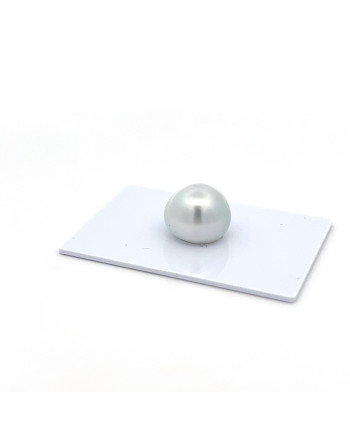 12mm+ gem  grade South Sea pearl, Indonesia