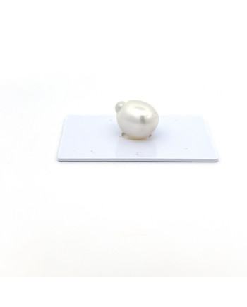 12mm+ gem  grade South Sea pearl, Indonesia