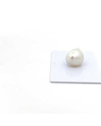 12mm+ gem  grade South Sea pearl, Indonesia
