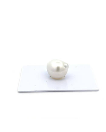 12mm+ gem  grade South Sea pearl, Indonesia