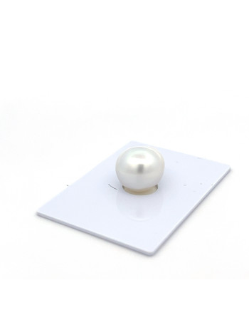 12mm+ fine  grade South Sea pearl, Indonesia