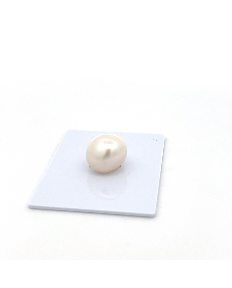 12mm+ jewel  grade South Sea pearl, Indonesia