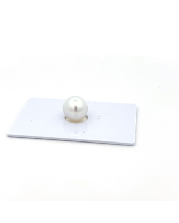 9mm+ gem  grade South Sea pearl, Indonesia