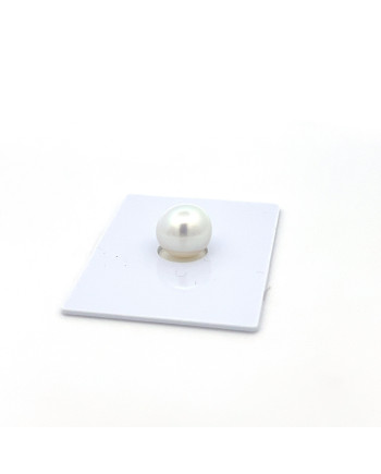 9mm+ gem  grade South Sea pearl, Indonesia