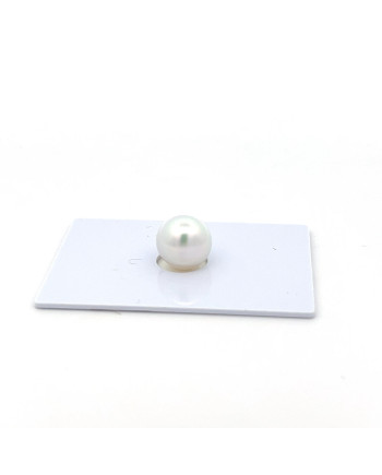 9mm+ gem  grade South Sea pearl, Indonesia