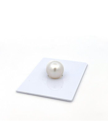 9mm+ gem  grade South Sea pearl, Indonesia