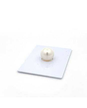 9mm+ jewel  grade South Sea pearl, Indonesia
