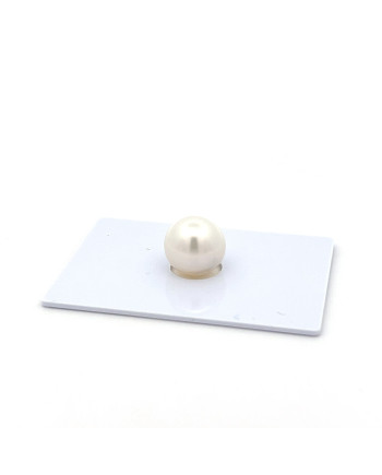 9mm+ jewel  grade South Sea pearl, Indonesia
