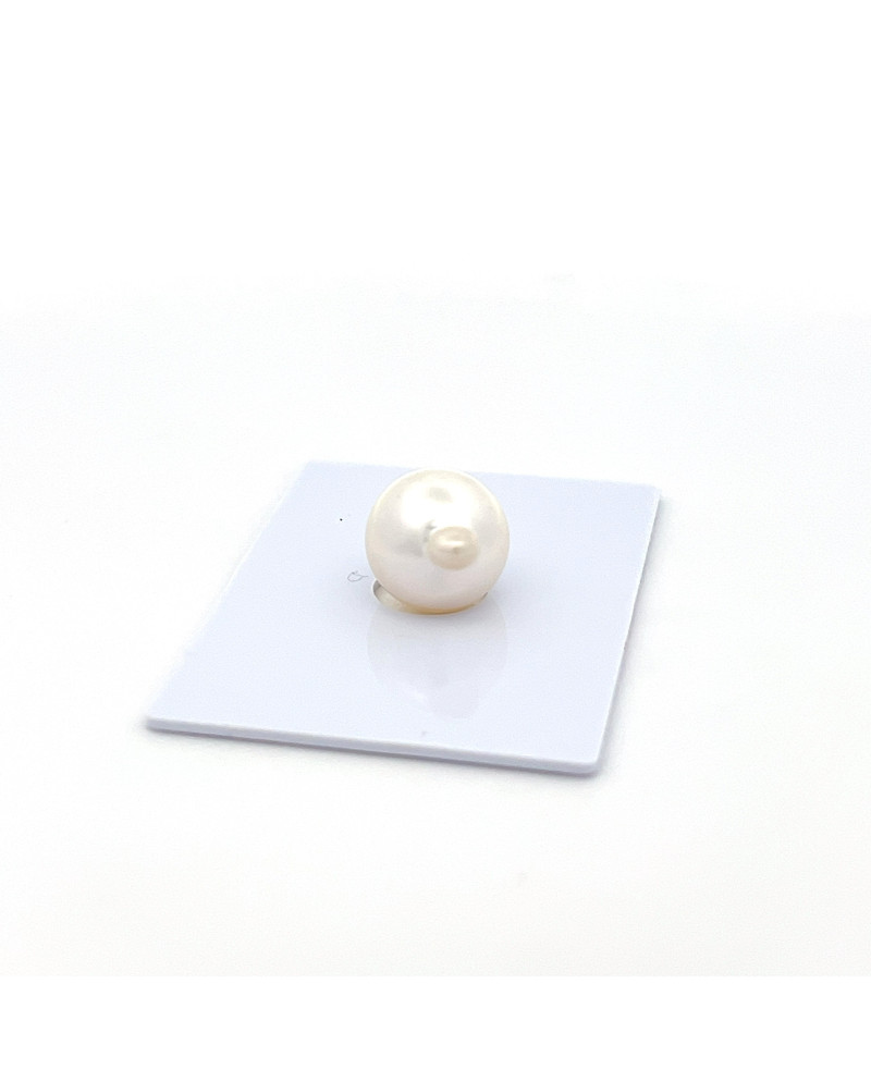 12mm+ jewel  grade South Sea pearl, Indonesia