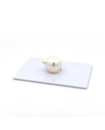 12mm+ jewel  grade South Sea pearl, Indonesia