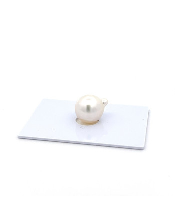 12mm+ jewel  grade South Sea pearl, Indonesia