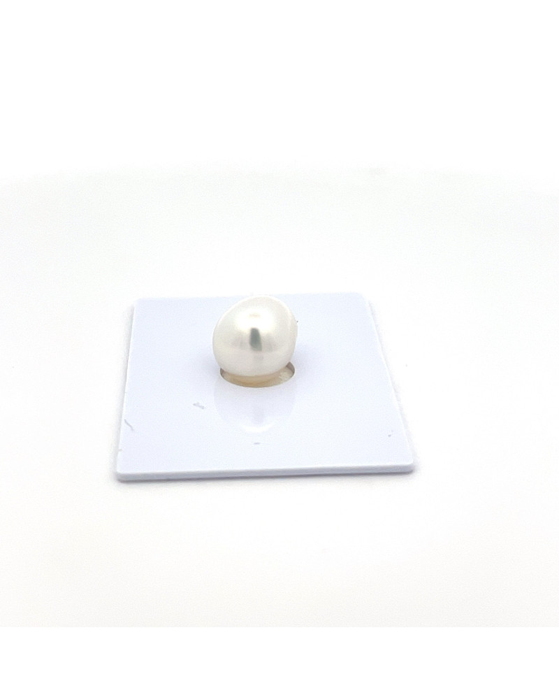 9mm+ gem  grade South Sea pearl, Indonesia