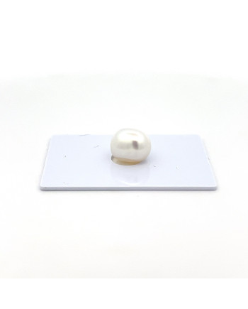 9mm+ gem  grade South Sea pearl, Indonesia