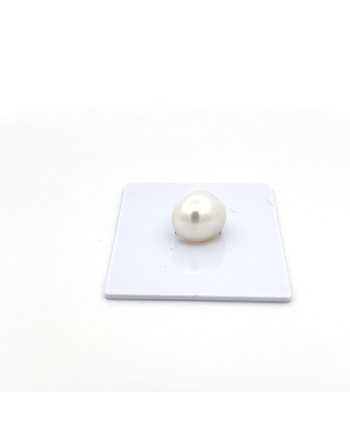 9mm+ gem  grade South Sea pearl, Indonesia