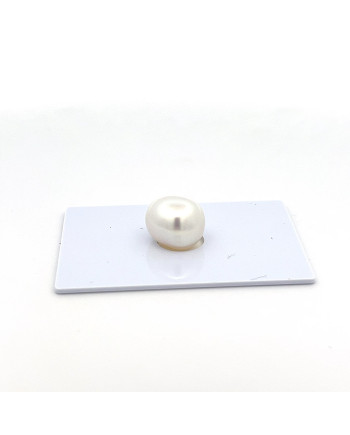 9mm+ gem  grade South Sea pearl, Indonesia