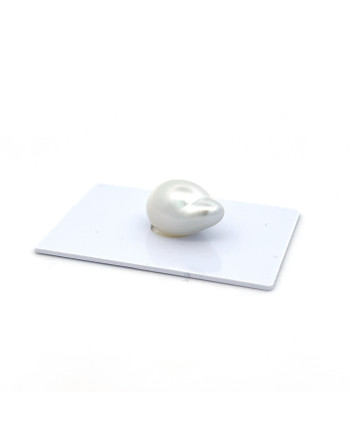 12mm+ gem  grade South Sea pearl, Indonesia