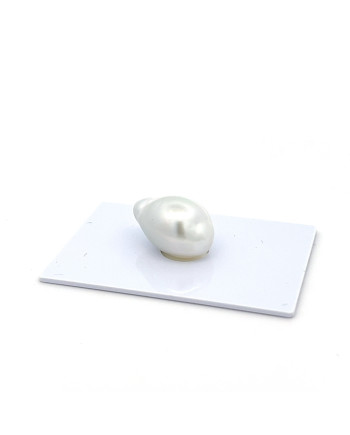 12mm+ gem  grade South Sea pearl, Indonesia