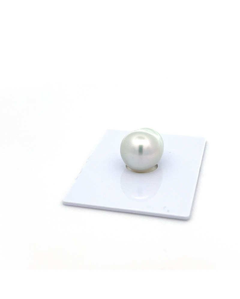 12mm+ gem  grade South Sea pearl, Indonesia