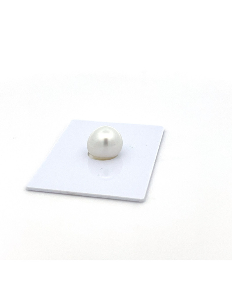 9mm+ jewel  grade South Sea pearl, Indonesia