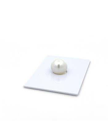 9mm+ jewel  grade South Sea pearl, Indonesia