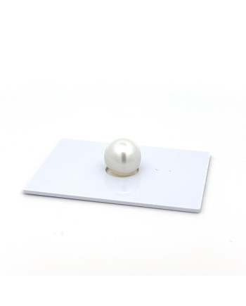 9mm+ jewel  grade South Sea pearl, Indonesia