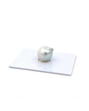 12mm+ jewel  grade South Sea pearl, Indonesia