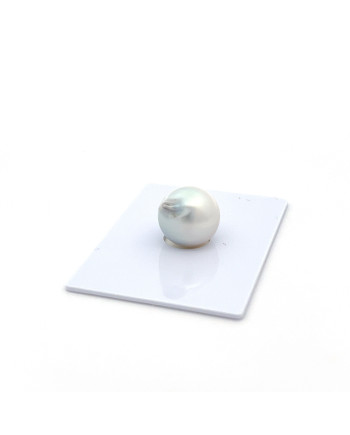 12mm+ jewel  grade South Sea pearl, Indonesia