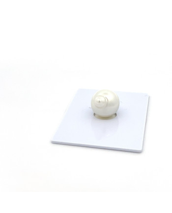 12mm+ jewel  grade South Sea pearl, Indonesia