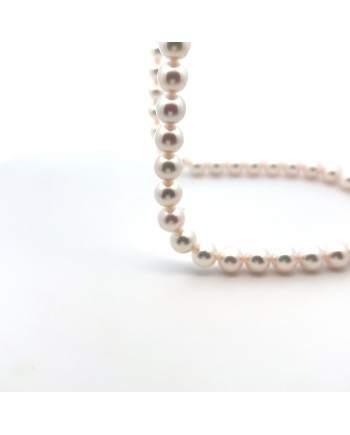 6mm+ gem  grade Akoya pearl, Japan