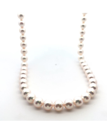 6mm+ gem  grade Akoya pearl, Japan