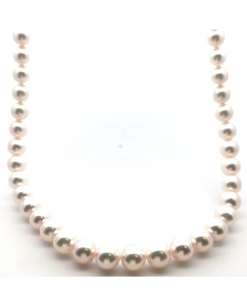 6mm+ fine  grade Akoya pearl, Japan