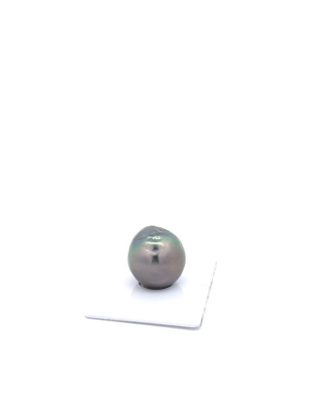 15mm+ jewel  grade Tahitian Black pearl, French Polynesia  