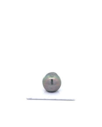 15mm+ jewel  grade Tahitian Black pearl, French Polynesia  