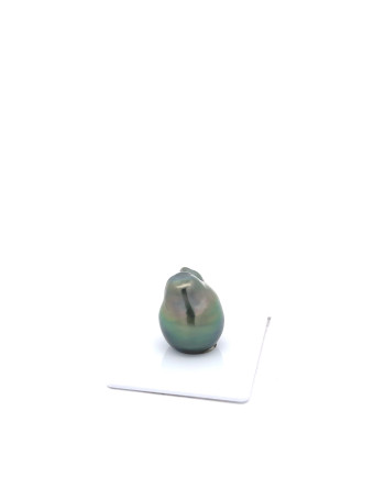 15mm+ jewel  grade Tahitian Black pearl, French Polynesia  