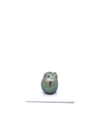 15mm+ jewel  grade Tahitian Black pearl, French Polynesia  