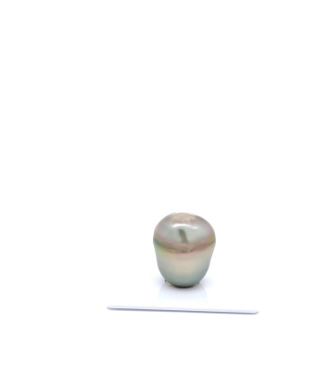 15mm+ jewel  grade Tahitian Black pearl, French Polynesia  
