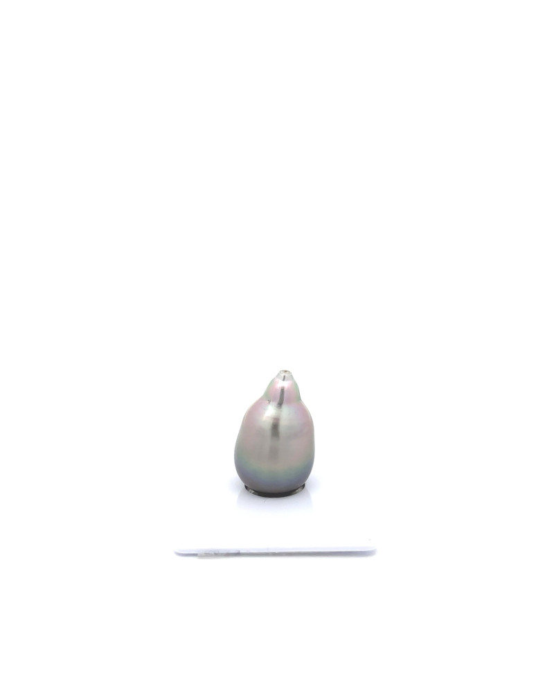 12mm+ jewel  grade Tahitian Black pearl, French Polynesia  