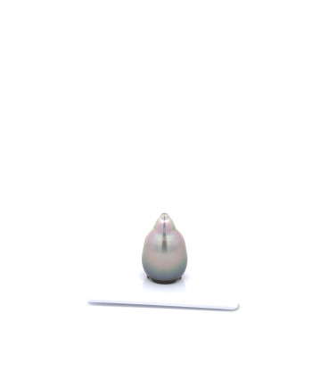 12mm+ jewel  grade Tahitian Black pearl, French Polynesia  