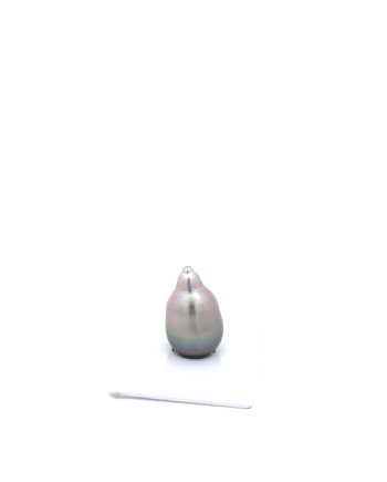 12mm+ jewel  grade Tahitian Black pearl, French Polynesia  