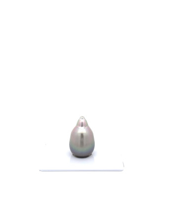 12mm+ jewel  grade Tahitian Black pearl, French Polynesia  