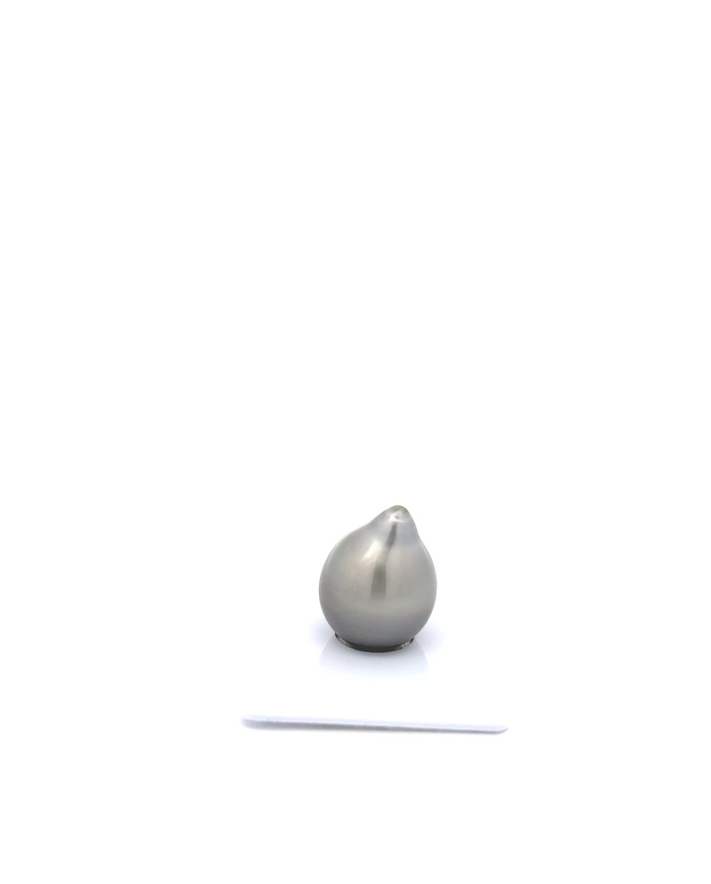 12mm+ fine  grade Tahitian Black pearl, French Polynesia  