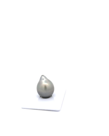 12mm+ fine  grade Tahitian Black pearl, French Polynesia  