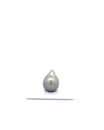 12mm+ fine  grade Tahitian Black pearl, French Polynesia  